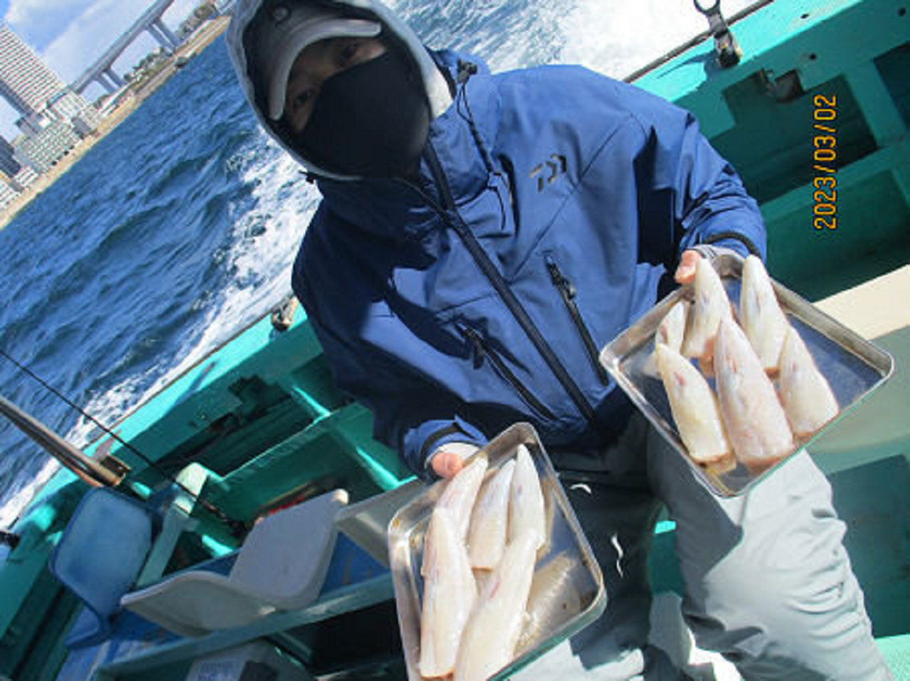 【釣果速報】兵庫県釣り船 名田屋でショウサイフグ釣りを堪能！40cmの超大物も登場！絶品フグが捕まえられるチャンスを逃すな！