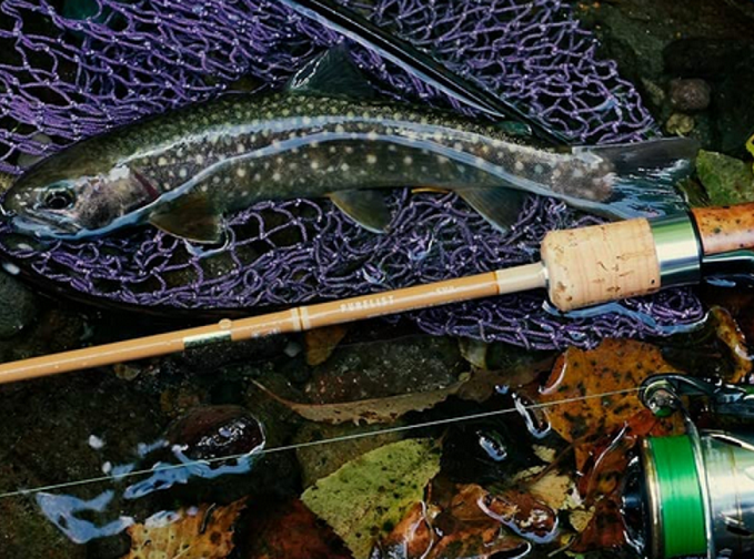 魚とロッドのアップ写真