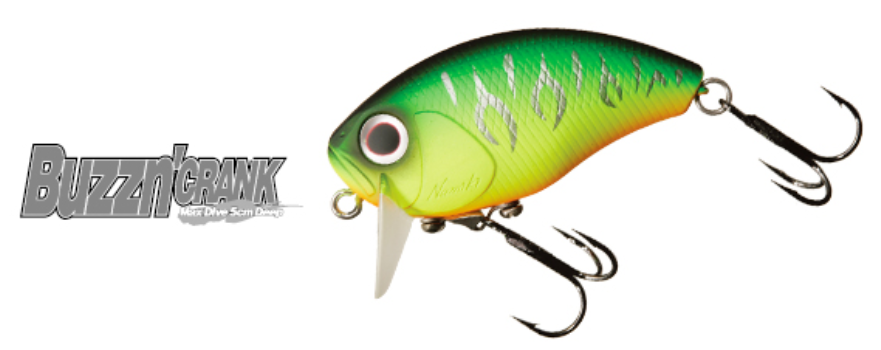 ルアーのアップ写真