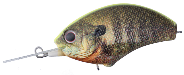 ルアーのアップ写真