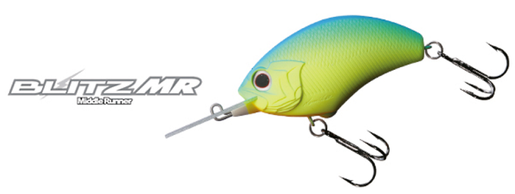 ルアーのアップ写真