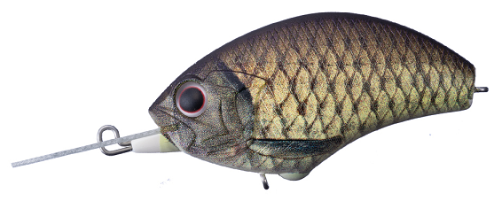 ルアーのアップ写真