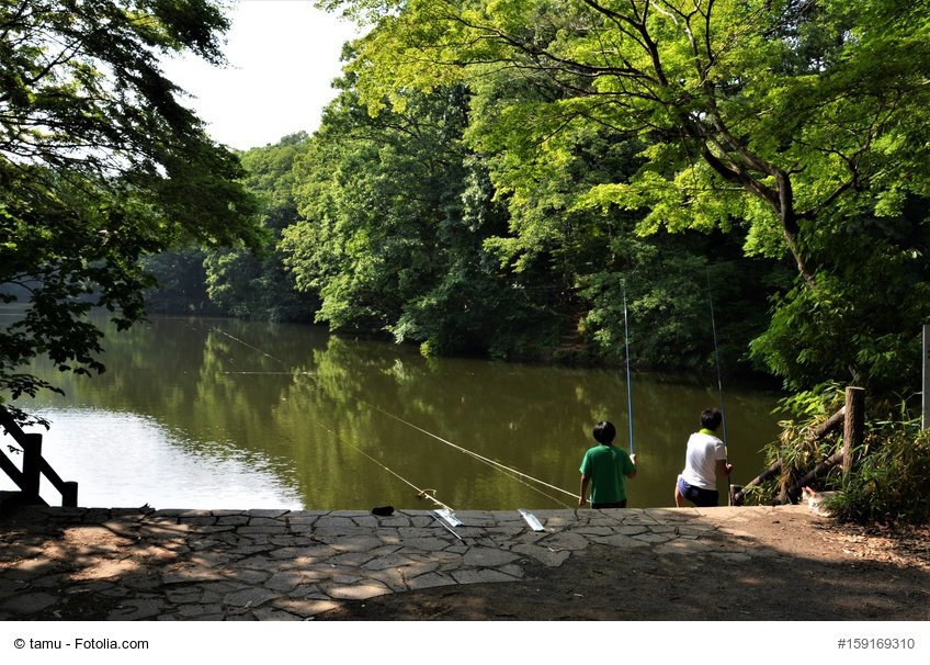 ウキ釣り　ヘラブナ