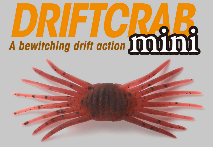 ワームのアップ写真