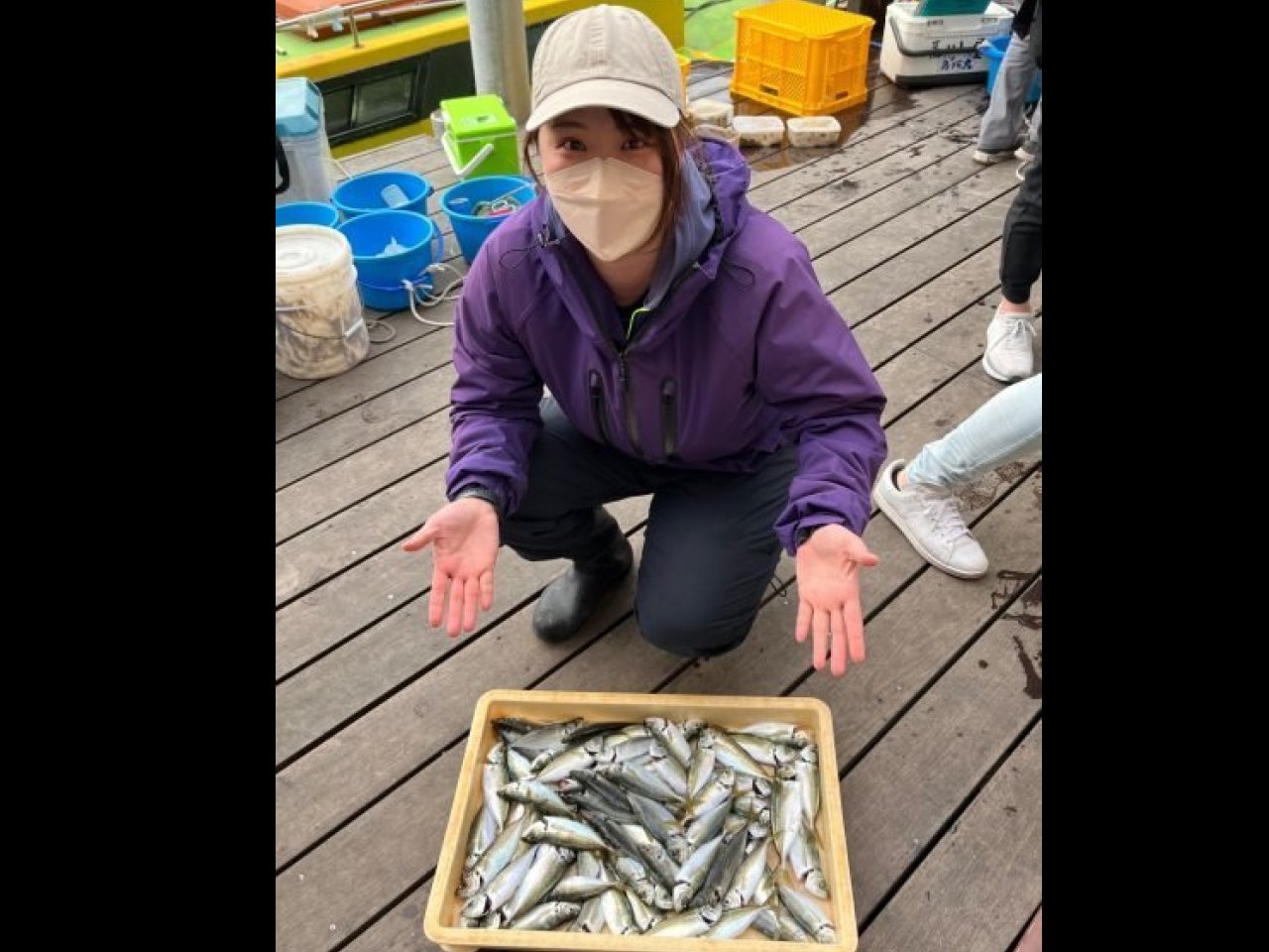 【釣果速報】良型アジがクーラーにぎっしり！神奈川県荒川屋で質も量も大満足の釣行を楽しもう！