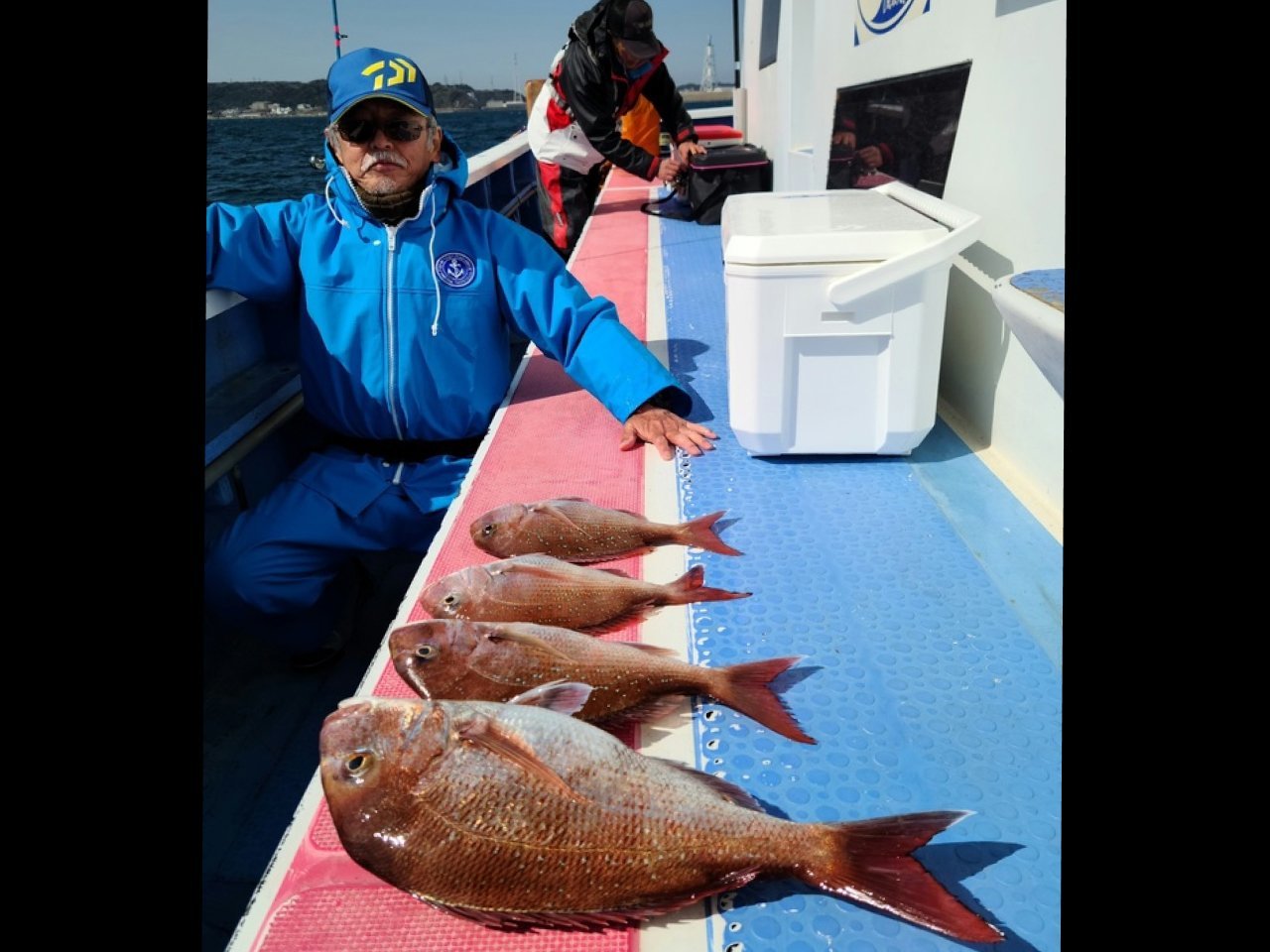 【釣果速報】乗っ込みシーズン目前！神奈川県成銀丸で2.8kgの巨大マダイ釣れる！春の大鯛釣りに今すぐ参加しよう！