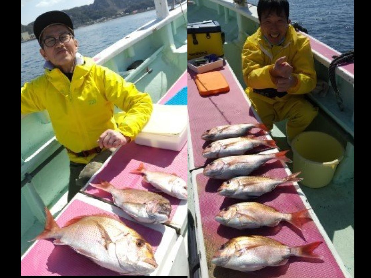 【釣果速報】千葉県東丸でマダイの食い良く船中19枚！最大2.2kg！春のマダイ釣りは数もサイズも欲張れる！