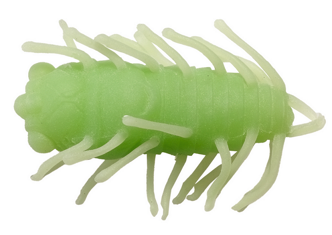 ワームのアップ写真