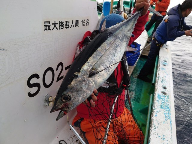 釣果