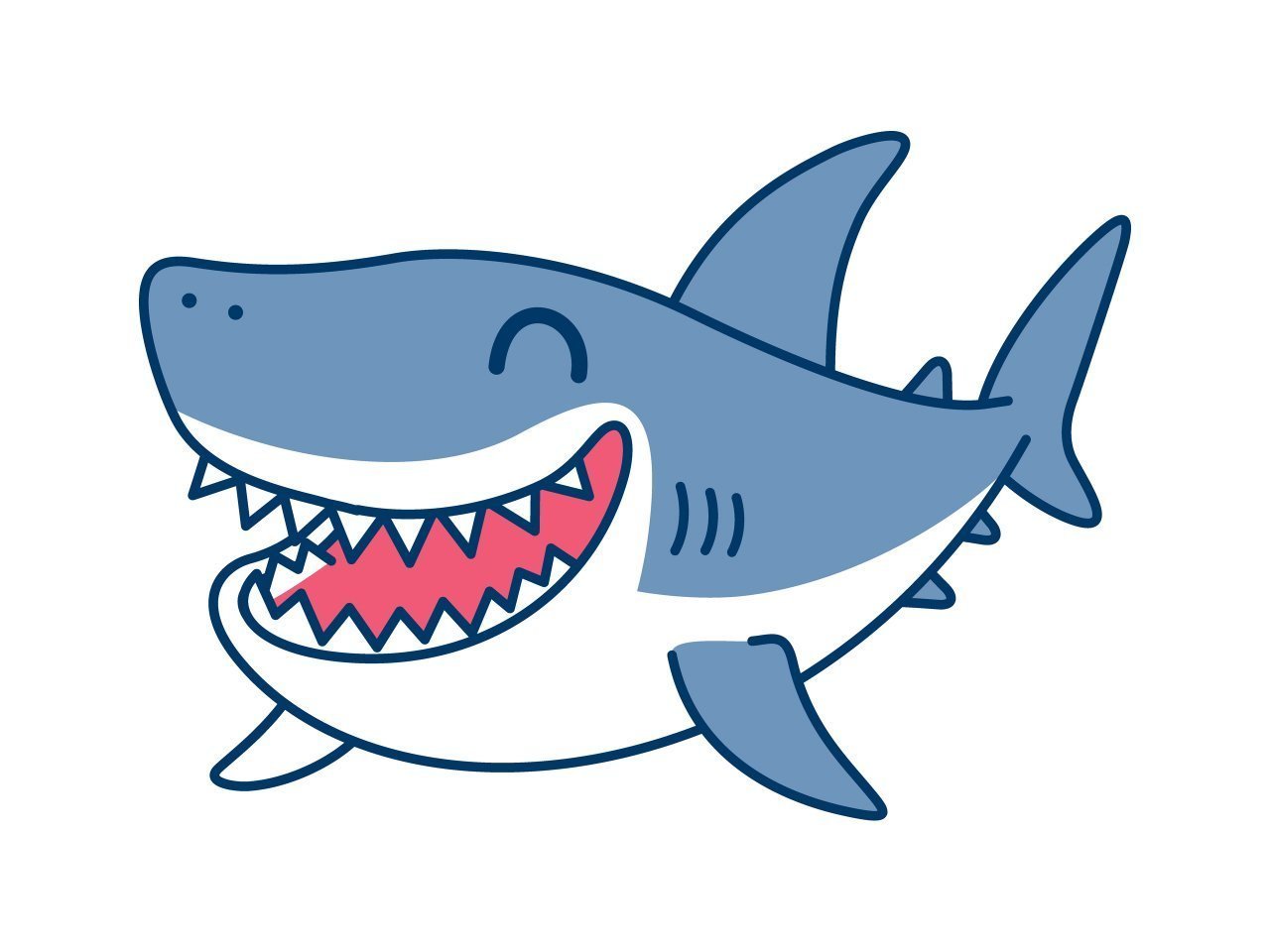 福井県の自然センターに「笑うサメ」が展示される！全国でたった3つの施設でしか見られない激レア魚！