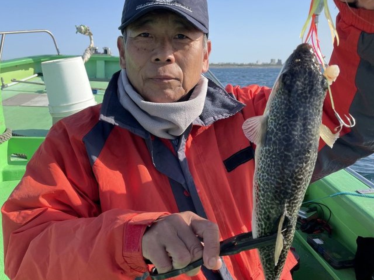 【釣果速報】神奈川県ちがさき丸でショウサイフグが絶好調！37cmのジャンボサイズも上がってます！