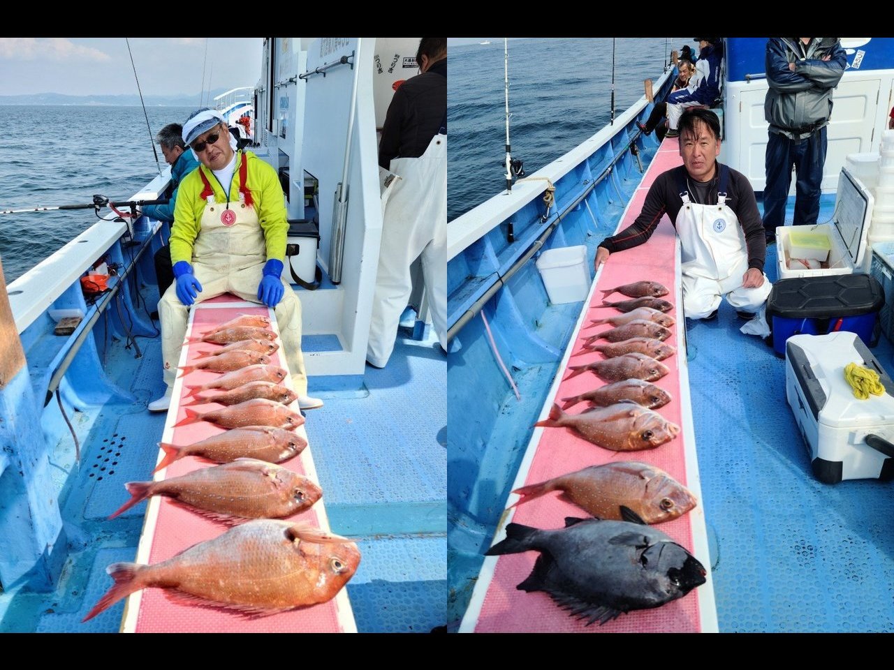【釣果速報】神奈川県成銀丸でマダイ大漁！トップは10枚、9枚、7枚、6枚…！好釣果が期待できる今がチャンス！