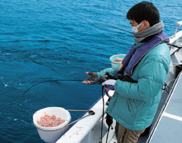 釣行の写真