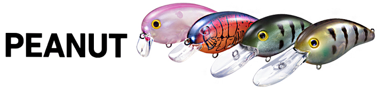 ルアーのアップ写真