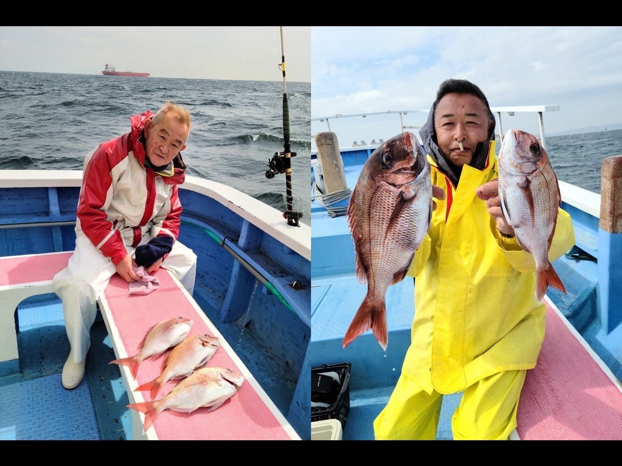 【釣果速報】神奈川県成銀丸でマダイのヒットが連発！イナダも混じり好釣果！クーラーボックスを人気魚種でいっぱいにしよう！