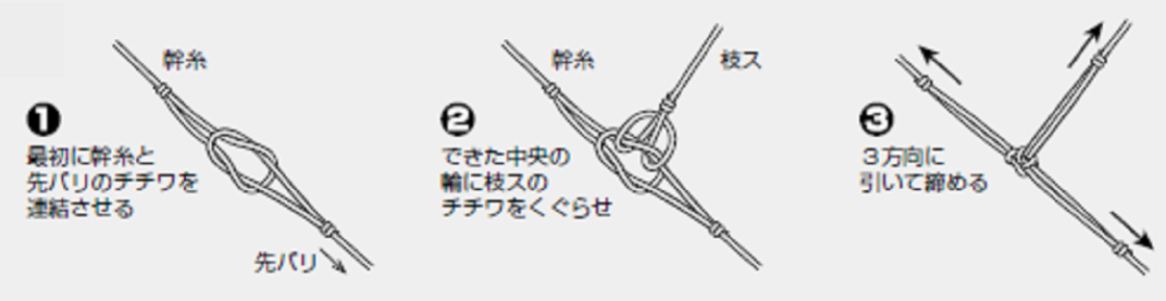 枝スの図