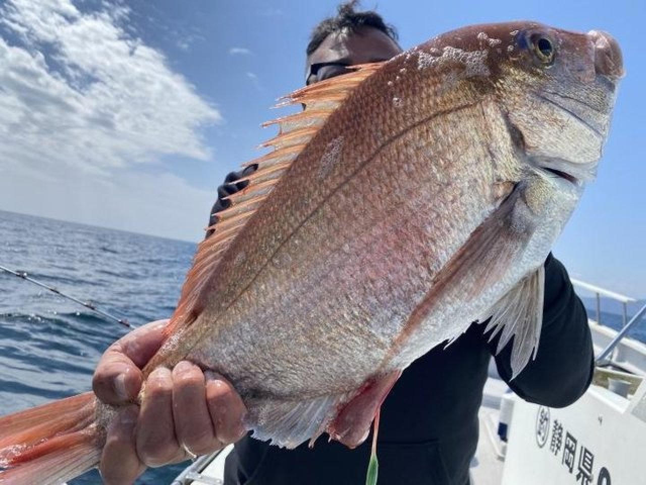 【釣果速報】静岡県海渡でマダイ全員安打&3.1kgの良型ゲット!メダイも交じりナイスなお土産に!春の釣行ならこの船に決まり!