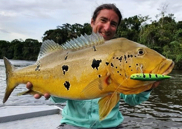 プレシジョン エクストリーム ペンシル イーエックスオー