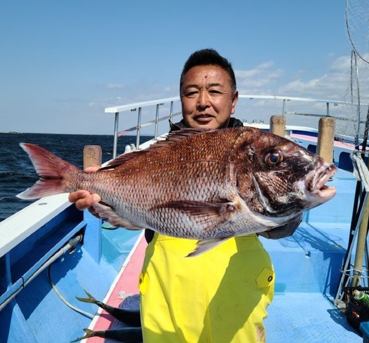 【釣果速報】3.3kgの巨大マダイ確保！神奈川県成銀丸で乗っ込みマダイがじゃんじゃん釣れてると話題！