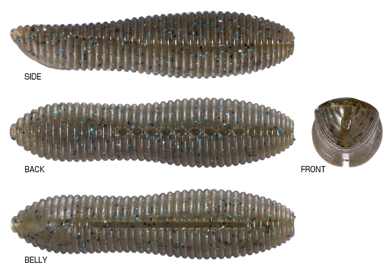 ワームのアップ写真