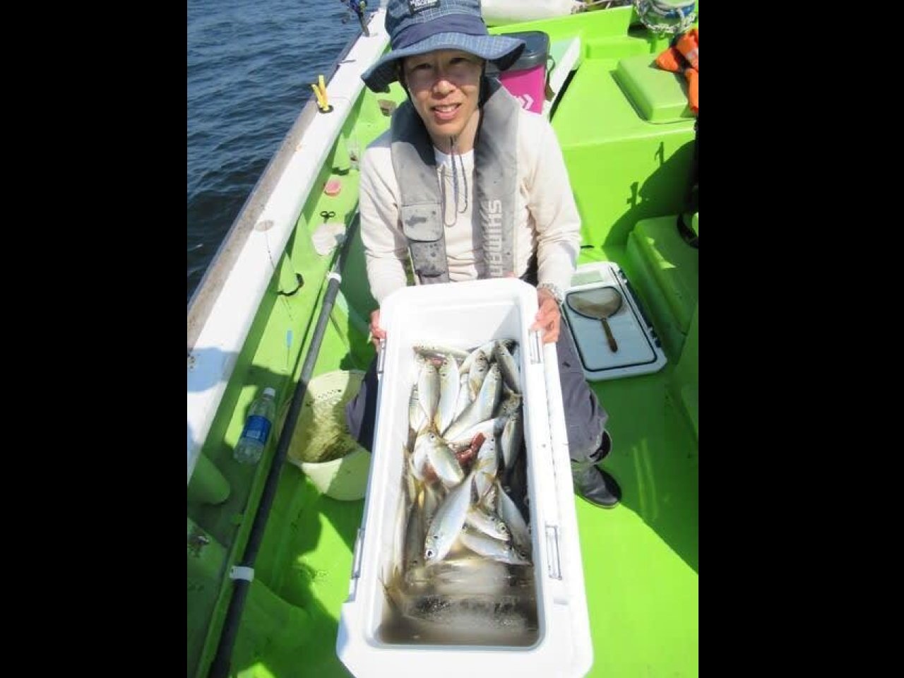 【釣果速報】神奈川県長崎屋のアジ釣行で竿頭が驚愕の144匹キャッチ達成！サイズ狙いのポイントで尺アジもゲット！数も型も大満足の釣行へGO！