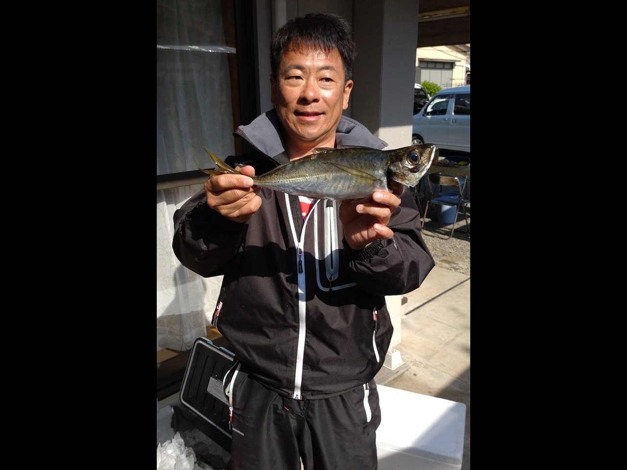 【釣果速報】良型アジがクーラーにぎっしり！千葉県福丸で質も量も大満足の釣行を楽しもう！