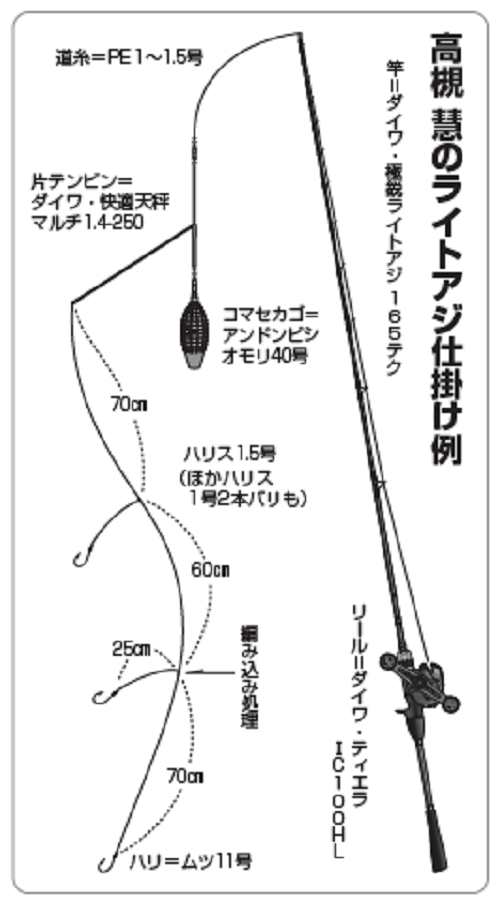 読めばライトアジの基本から応用までを全てマスターできる！高槻彗の