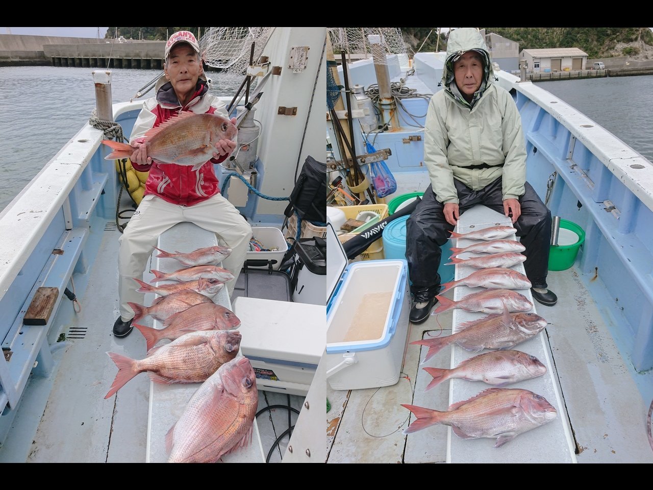 【釣果速報】神奈川県又信丸で2.3kgの良型マダイをゲット！ヒット多数な今がチャンス！