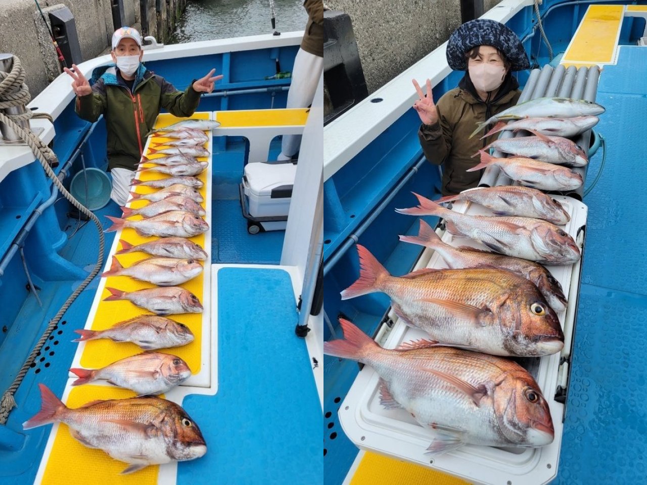 【釣果速報】神奈川県成銀丸でマダイ全員ゲット＆竿頭15匹！活性上々で豪華なゲストが釣れる最高のシーズンに突入！