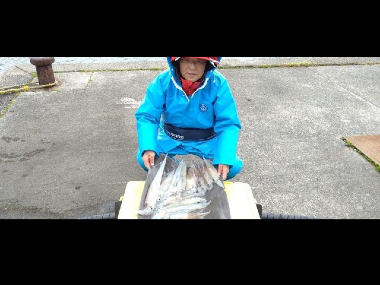 【釣果速報】千葉県不動丸でMAX50cmの胴長ヤリイカ確保!ビッグサイズの高級イカを今こそ狙いに行こう!