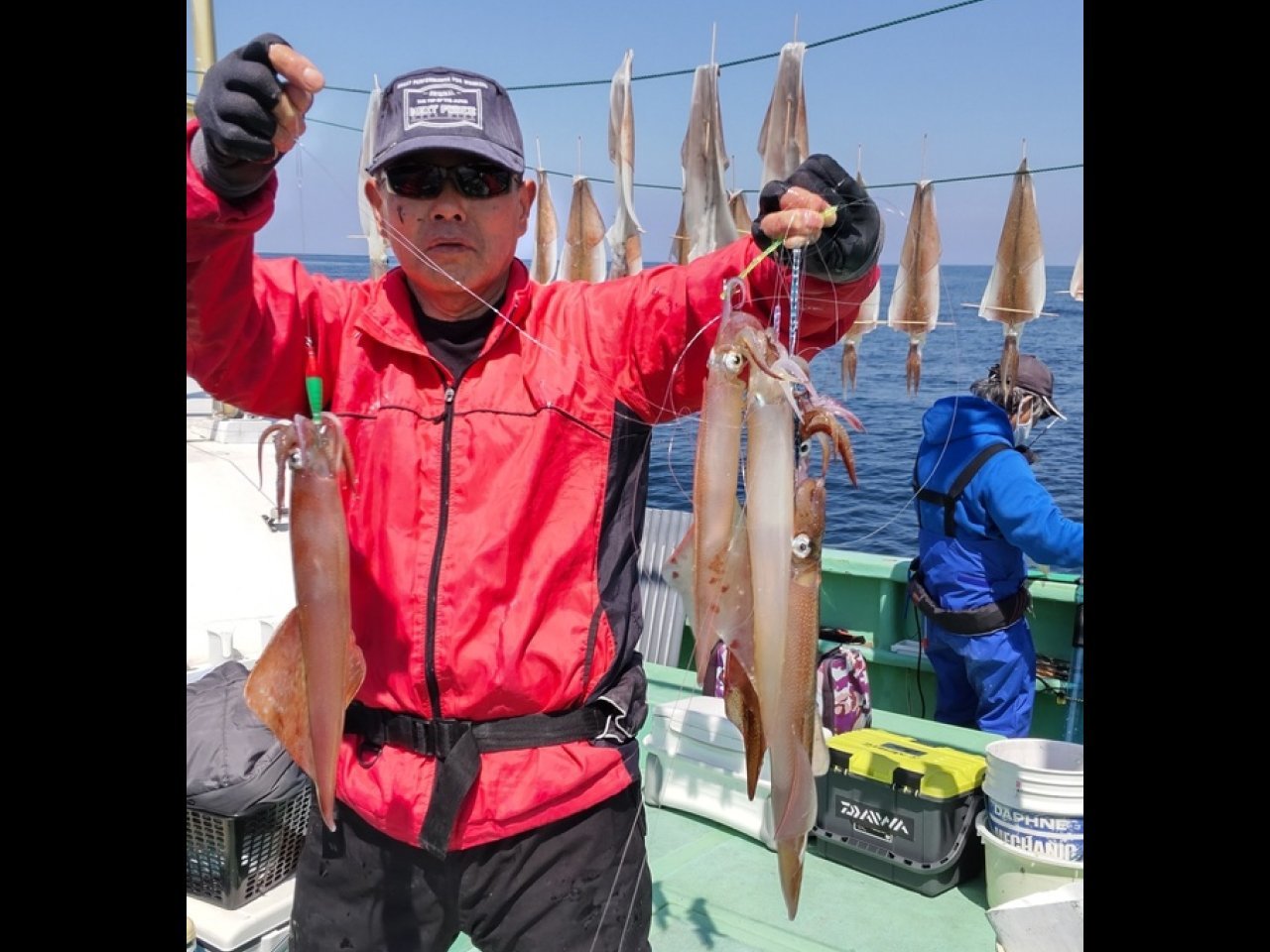 【釣果速報】茨城県仙昇丸でヤリイカ豊漁！竿頭はなんと46匹！サイズも最大50cmと今乗りに乗ってます！