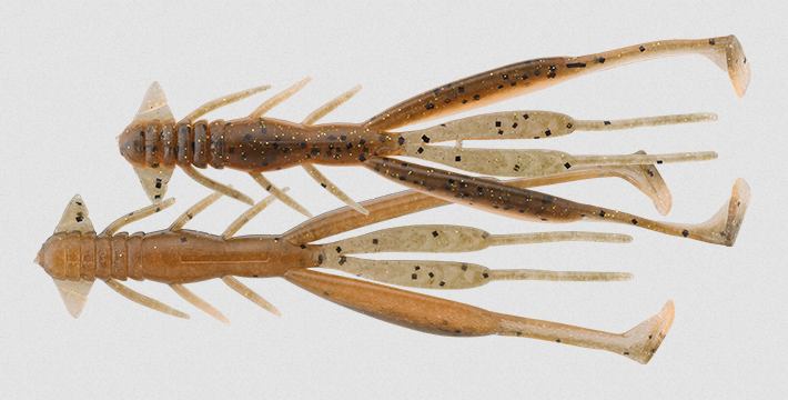 ワームのアップ写真