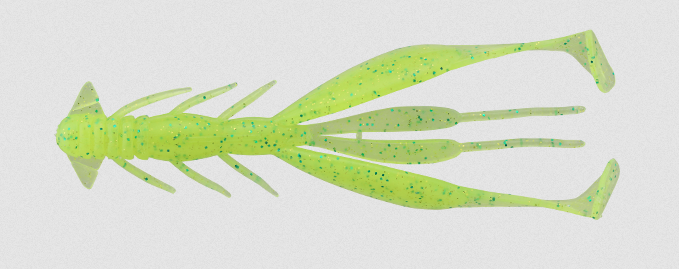 ワームのアップ写真