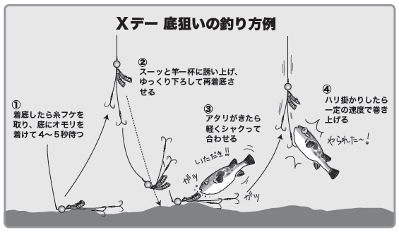 トラフグ】東京湾で乗っ込みの大型トラフグを釣る！Xデーを制するためのノウハウをご紹介！（吉久／東京湾奥浦安）