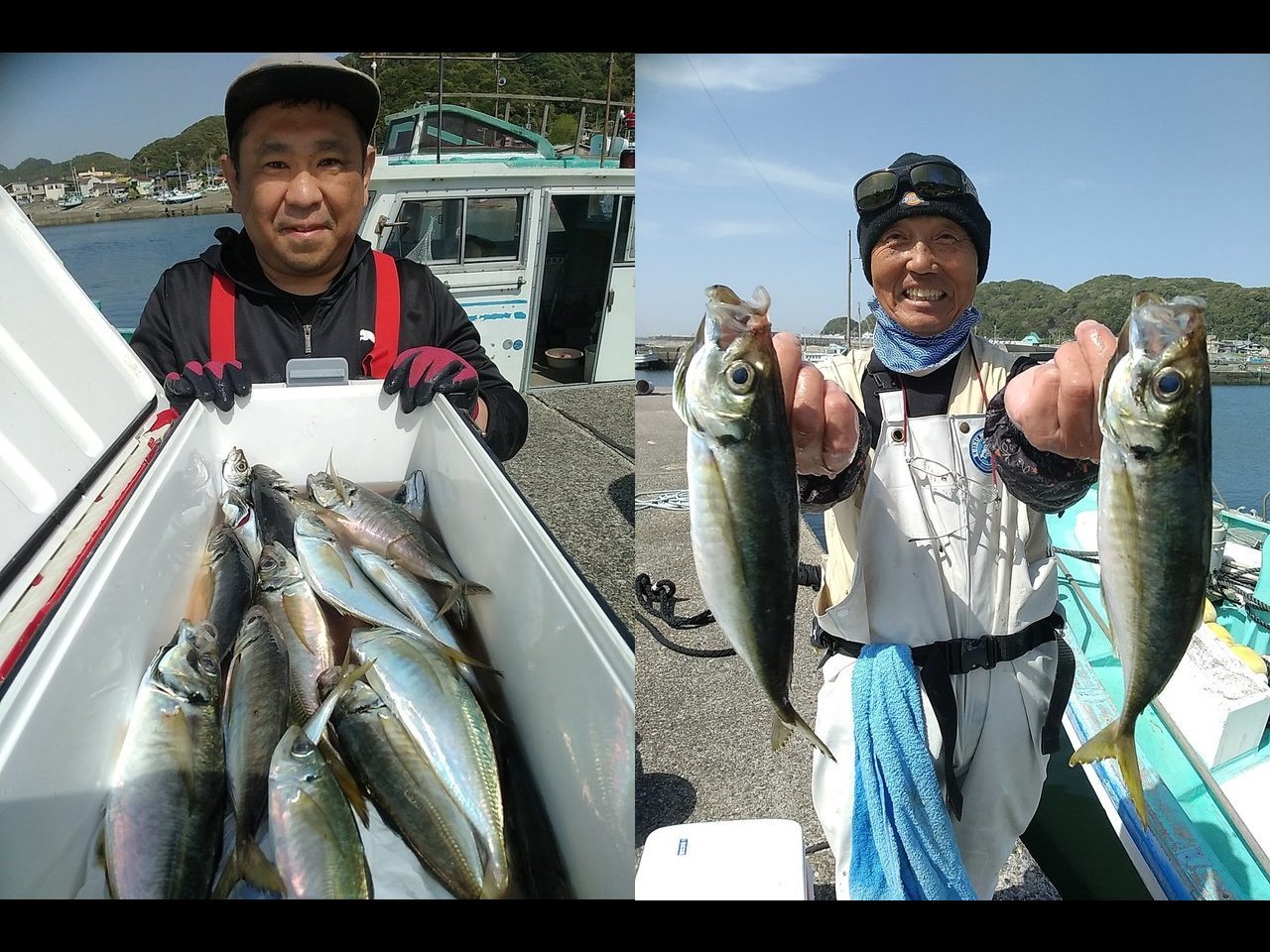 【釣果速報】良型アジがクーラーにぎっしり！千葉県勘次郎丸で質も量も大満足の釣行を楽しもう！