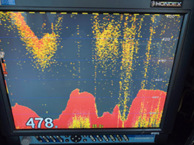 魚群探知機の写真