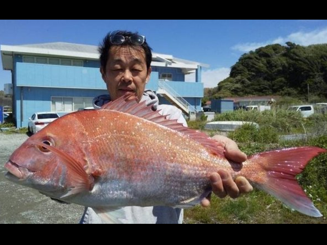 【釣果速報】神奈川県あまさけや丸で4.5kgマダイ＆4kgワラサGET！春は大物ハントで心躍る釣行を！