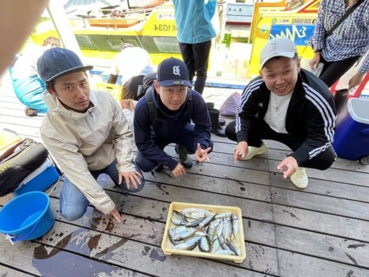 【釣果速報】良型アジがクーラーにぎっしり！神奈川県荒川屋で質も量も大満足の釣行を楽しもう！