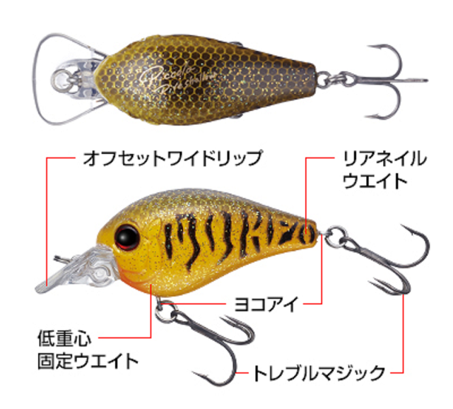 ルアーのアップ写真