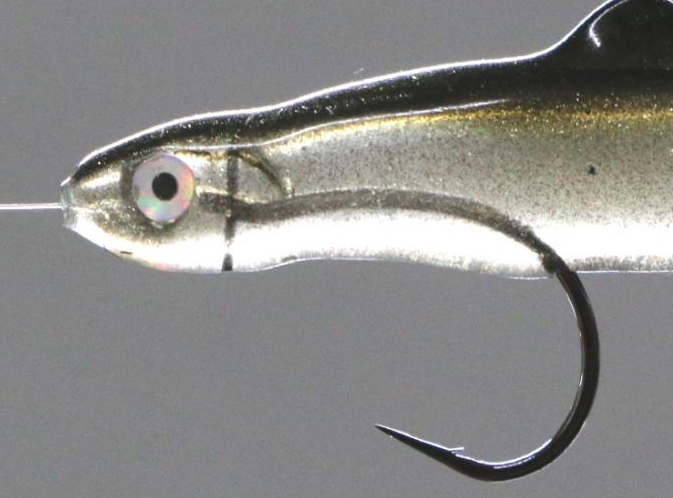 ワームのアップ写真