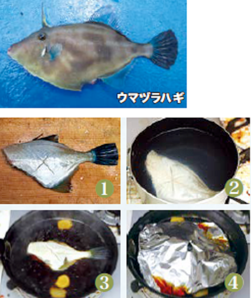 釣行の写真