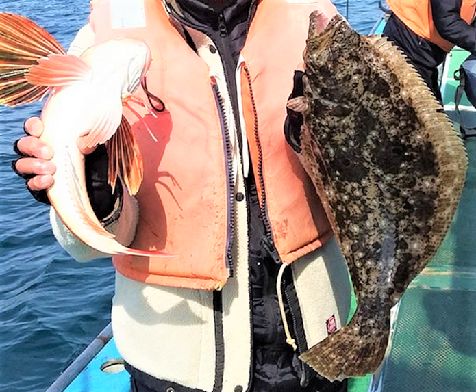 魚のアップ写真