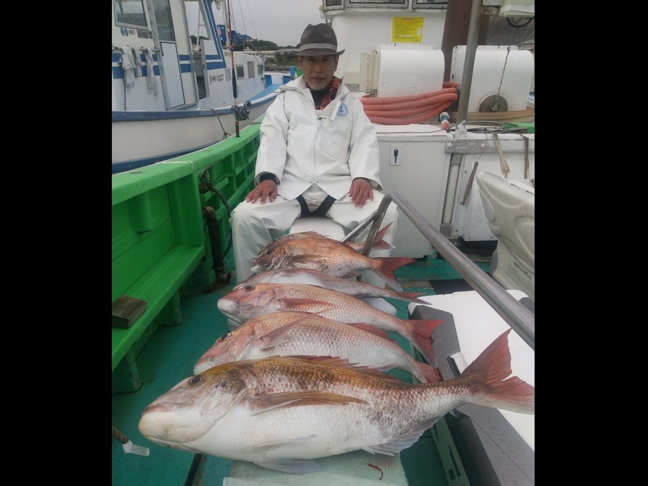 【釣果速報】最大3.5kg！最小も2kg！神奈川県せどおと丸の乗っ込みマダイの好調が止まらない！