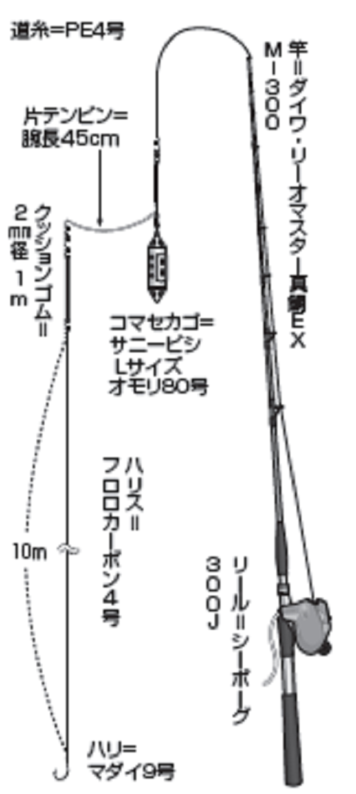 仕掛けの図