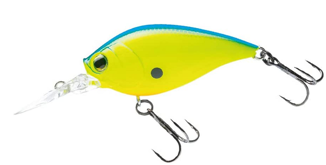 ルアーのアップ写真