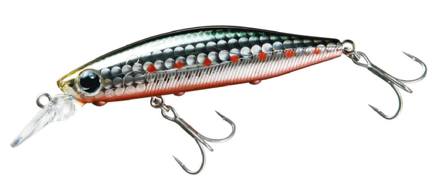 ルアーのアップ写真