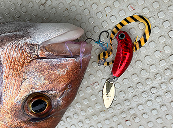 魚とルアーのアップ写真