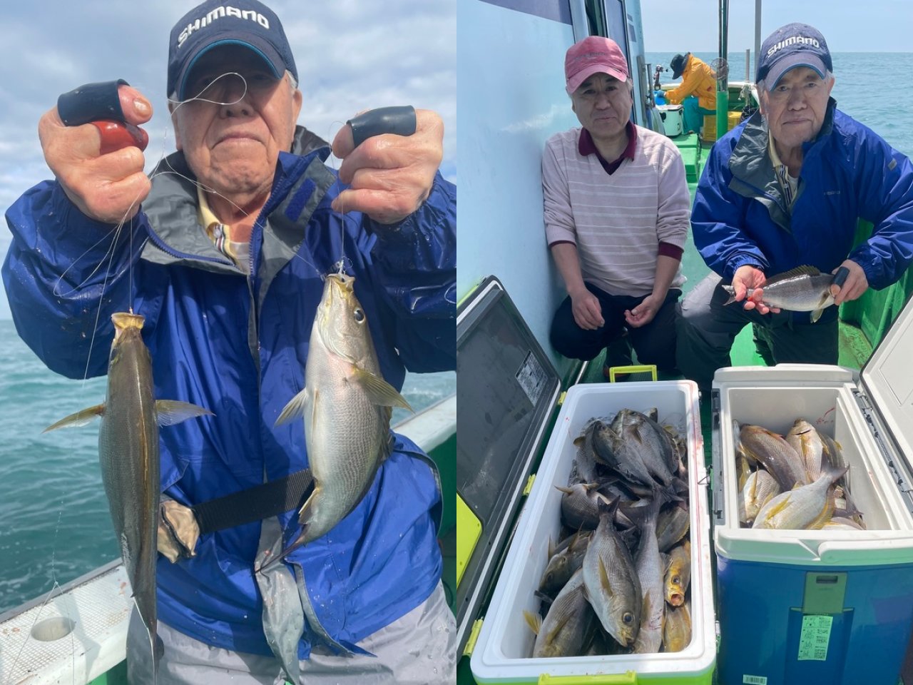 【釣果速報】和歌山県優勝丸でイサギ好調！竿頭は65匹！今なら一日中数釣りが楽しめます！