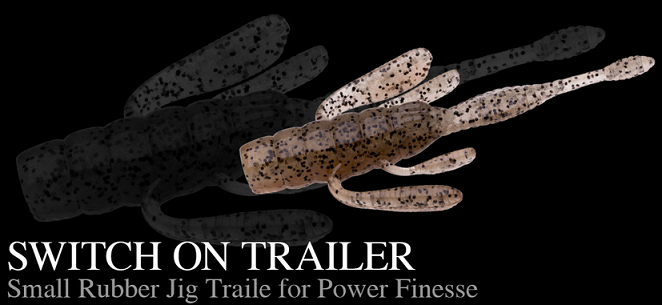 ワームのアップ写真