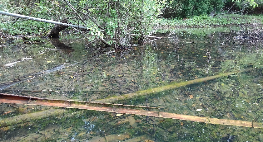 釣り場の遠景写真